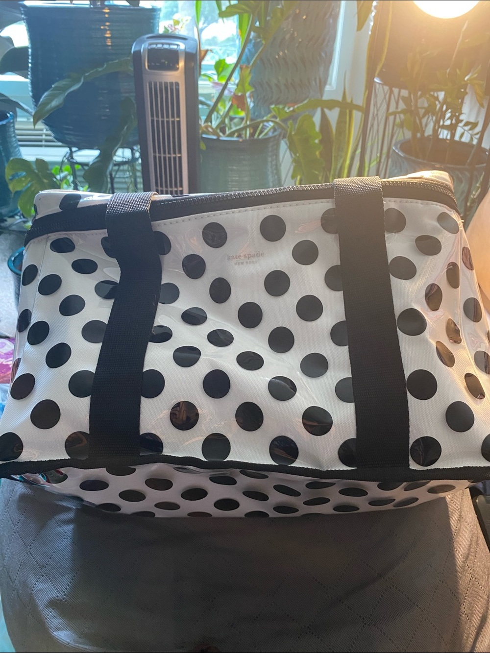 kate spade White and Black Polka Dot Coated Insulated Cooler Bag **NWT**